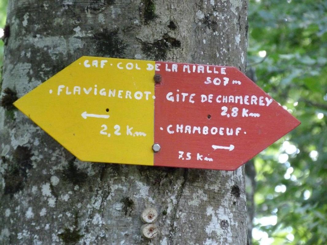Le Flav - Charmant Appartement A 10 Mn De Dijon Flavignerot Exteriör bild